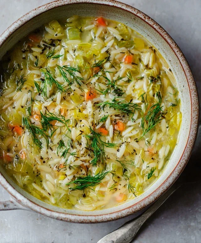 Orzo Leek and Dill Soup